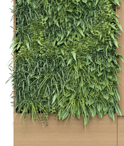 Aako-Storage-Garden.png