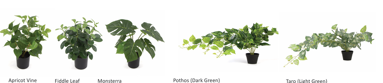 DD_Plant_Options-17.png