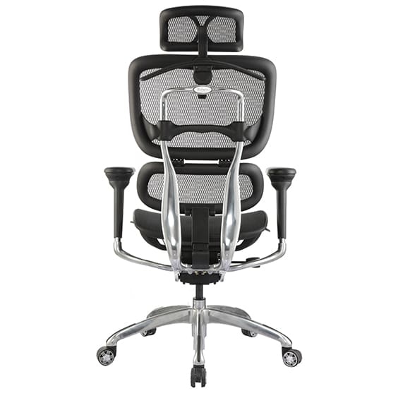 ERGO-1H-back-view.jpg