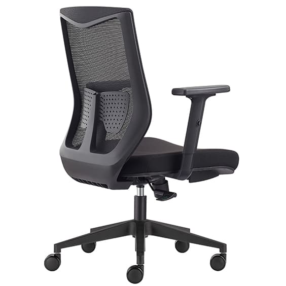 GIBBS_back-side-view.jpg