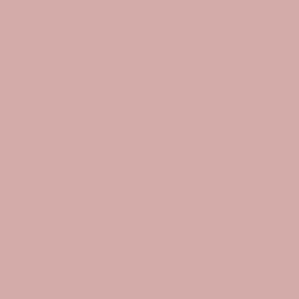 Salmon-5_0fa35f01-764f-4143-bb41-4ff67fbf4712.png