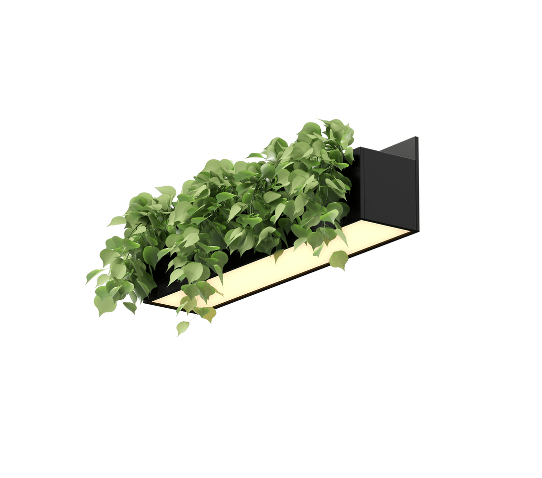 YcTdgtMW.png